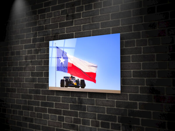 Max with Texas Flag - Image 2