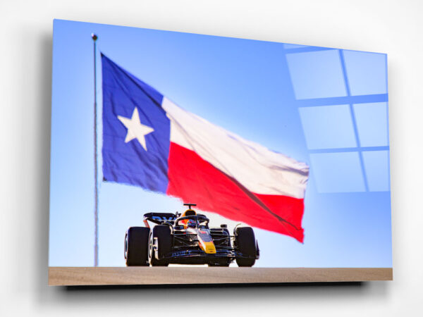 Max with Texas Flag