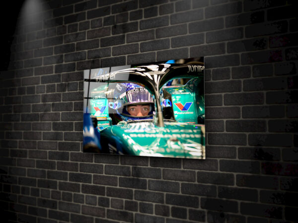 Alonso in the car - Image 2