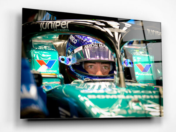 Alonso in the car
