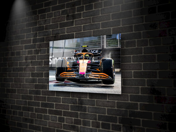 Flying Lando - Singapore 2022 - Image 2