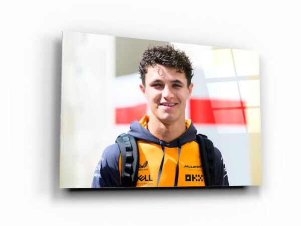 Lando Norris - portrait