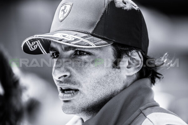 Carlos - portrait 2023 - Image 3