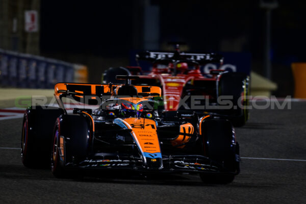 Oscar- turn 9 - Bahrain